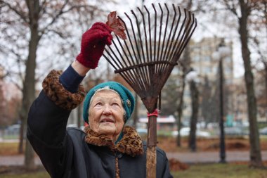 Sonbahar mevsimi, ölü yaprakları ek gelir olarak topluyor. Tırmık kullanan yaşlı bir kadın çimenlikteki ölü yaprakları temizliyor. Yaşlıların temiz havasında çalış..