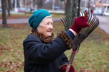 Sonbahar mevsimi, ölü yaprakları ek gelir olarak topluyor. Tırmık kullanan yaşlı bir kadın çimenlikteki ölü yaprakları temizliyor. Yaşlıların temiz havasında çalış..