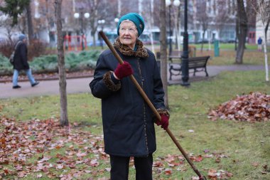 Sonbahar mevsimi, ölü yaprakları ek gelir olarak topluyor. Tırmık kullanan yaşlı bir kadın çimenlikteki ölü yaprakları temizliyor. Yaşlıların temiz havasında çalış..