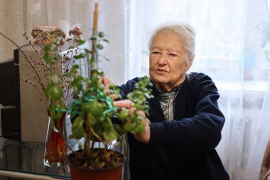 Yaşlı kadın dairesinde çiçekleri suluyor..