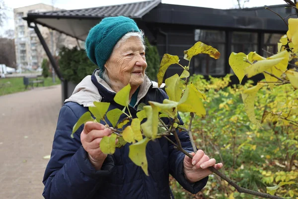 Yaşlı bir bayan bir sonbahar günü parkta yürür, doğanın tadını çıkarır, telefonda konuşur.