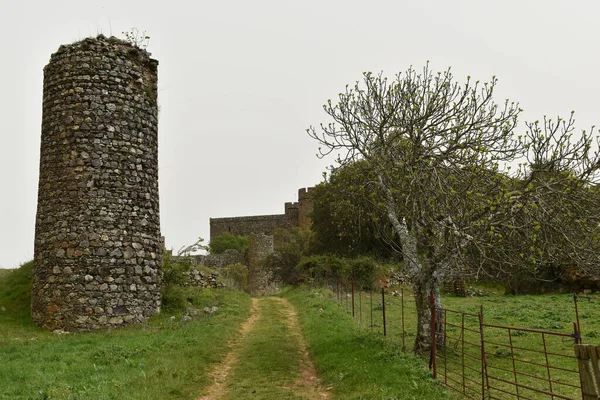 Salvatierra de los Barros tepesindeki eski şatoda ağaçlar ve çimenler
