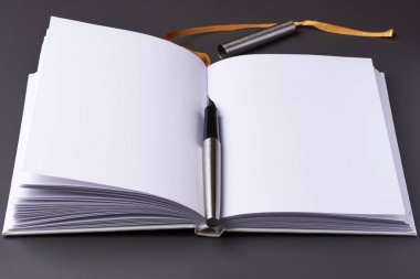 Koyu arkaplanda mürekkep kalemi olan açık bir defter.