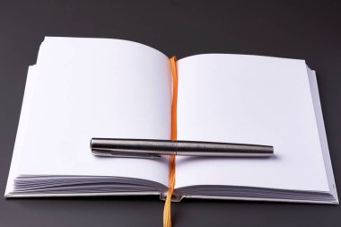 Koyu arkaplanda mürekkep kalemi olan açık bir defter.