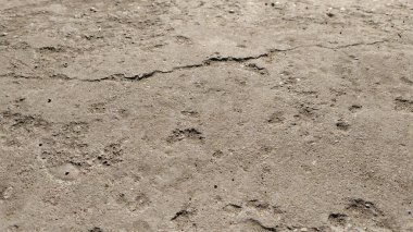 Çatlak beton dokunun yakın çekim görüntüsü yakın plan, fotoğraf