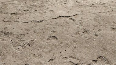 Çatlak beton dokuya yakın plan yakın plan, fotoğraf
