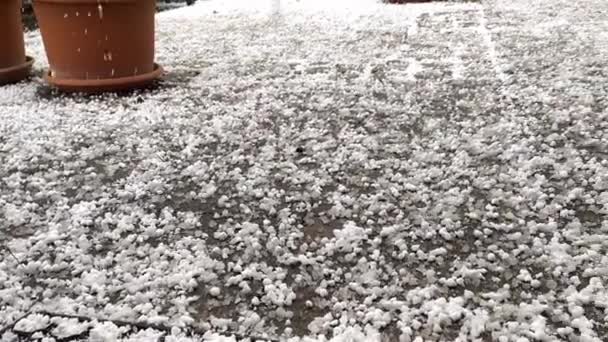 Vista Caída Granizo Patio Una Casa Familiar Frío Día Primavera — Vídeo de stock