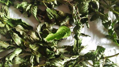 Nane şekerinin beyaz bir masa örtüsünde kurutulduğu yakın çekim görüntüsü, kurutucu baharatlar, fotoğraf.