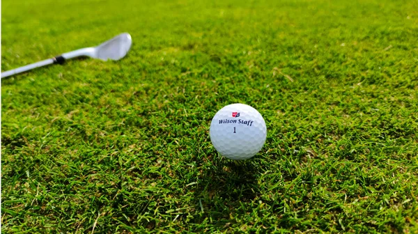 Golfball Bakgrunnen Grønt Gress Bakgrunnen Golfkølle Foto – stockfoto