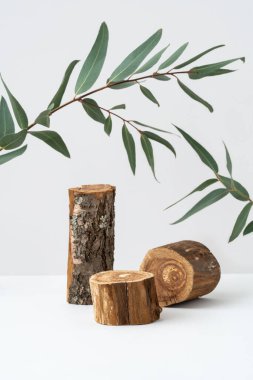Boş ahşap podyum ve gri arka planda okaliptüs dalı. Doğal kozmetik reklamcılık. Ekolojik ürün sunumu için silindir şekli ve yeşil yapraklar. Ön görünüm