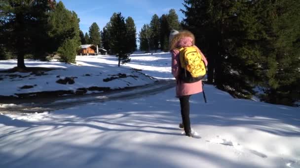 Ein Mädchen Das Mitten Berg Schnee Spaziert — Stockvideo