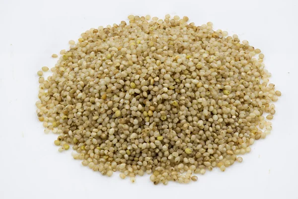 Close Little Millet Grains White Background Isolated — Stock Photo, Image