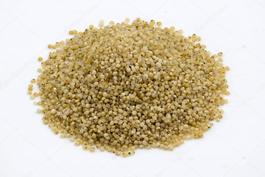 Close-up of barnyard millet grains on an isolated white background