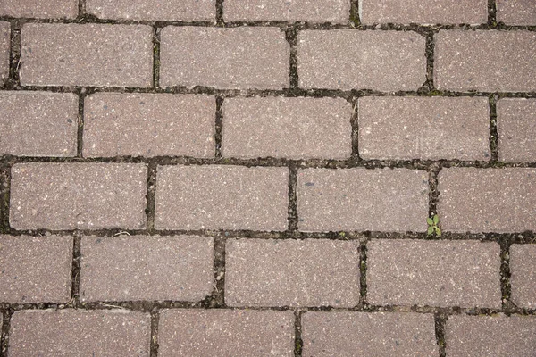 Road tiles in the park — Stock Photo, Image