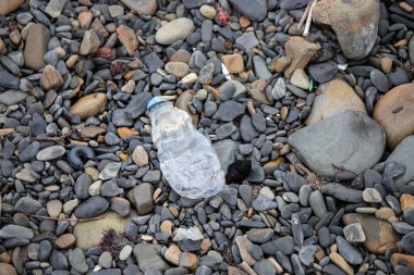 Kıyıya vurmuş eski bir plastik şişe.