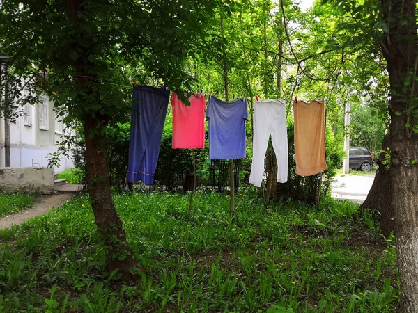 Gewassen linnen wordt gedroogd op een touw tussen de bomen — Stockfoto