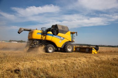 Hasat işçisi New Holland olgunlaşmış buğday hasat ediyor. tarım