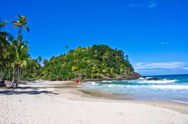 Itacare, Tropik sahil manzarası, Bahia, Brezilya, Güney Amerika