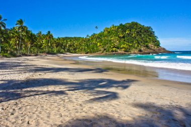 Itacare, Tropik sahil manzarası, Bahia, Brezilya, Güney Amerika