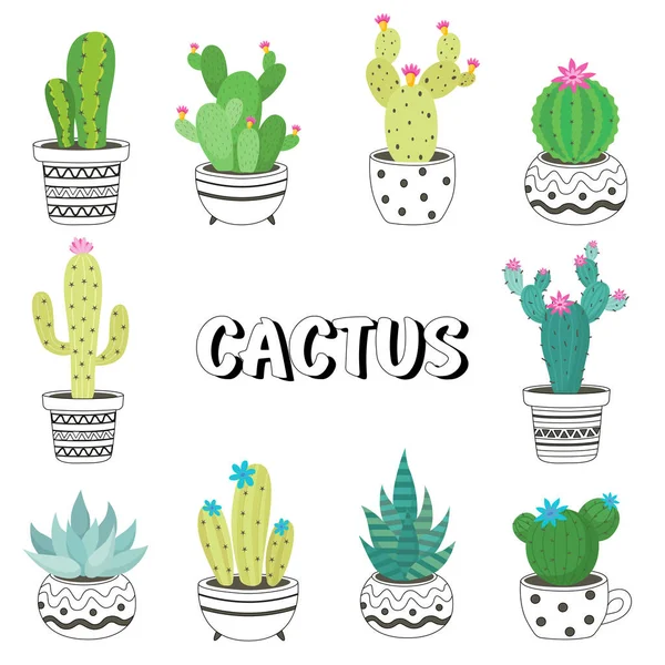 าและส ขาว Cactus เวกเตอร งอย บนส ขาว — ภาพเวกเตอร์สต็อก