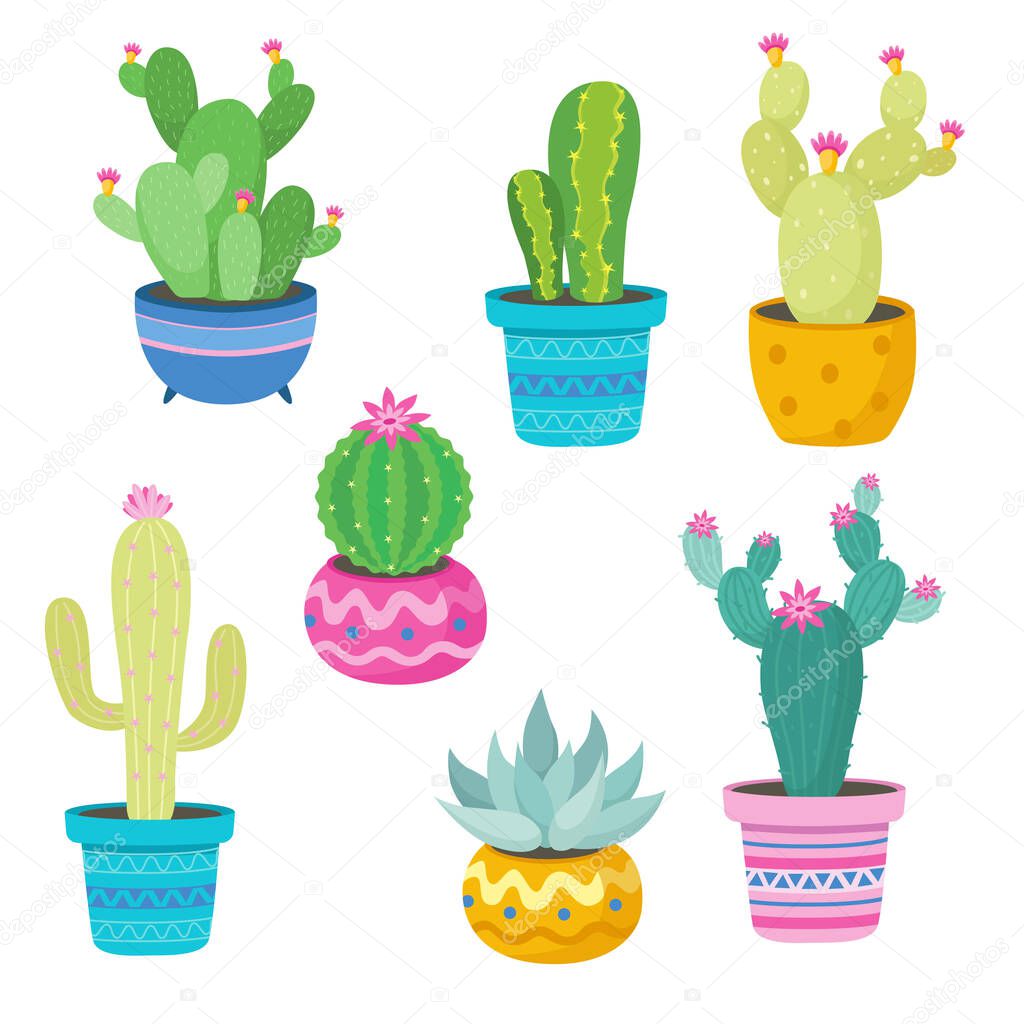 Funny Cactus with pots cute style Vector illustration on white