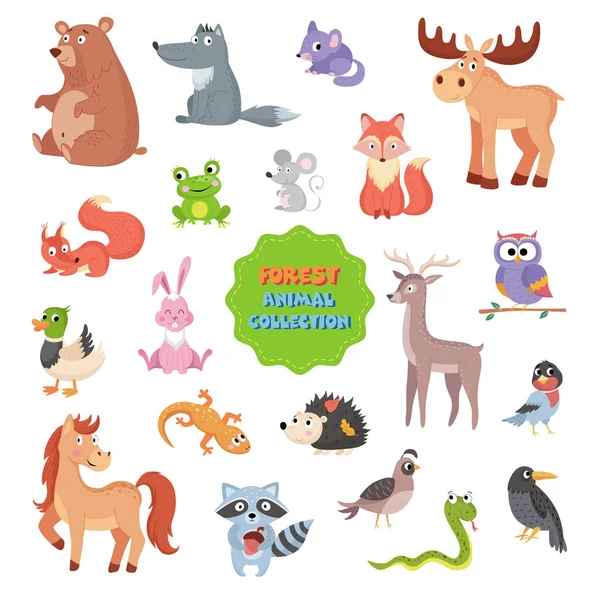 Colección de animales forestales vector ilustración sobre fondo blanco — Vector de stock