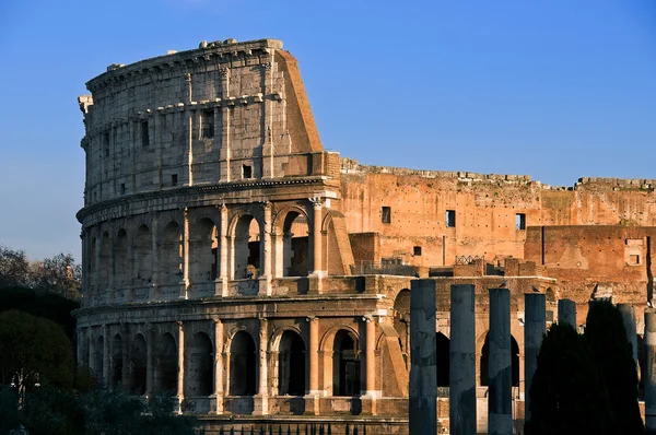Coliseum Rome — Stock Photo, Image