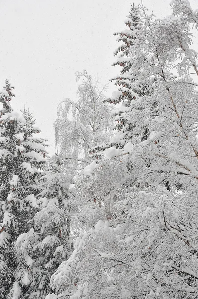 Kar yağışıweather condition