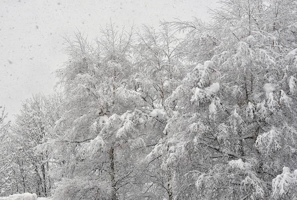 Snowfall2