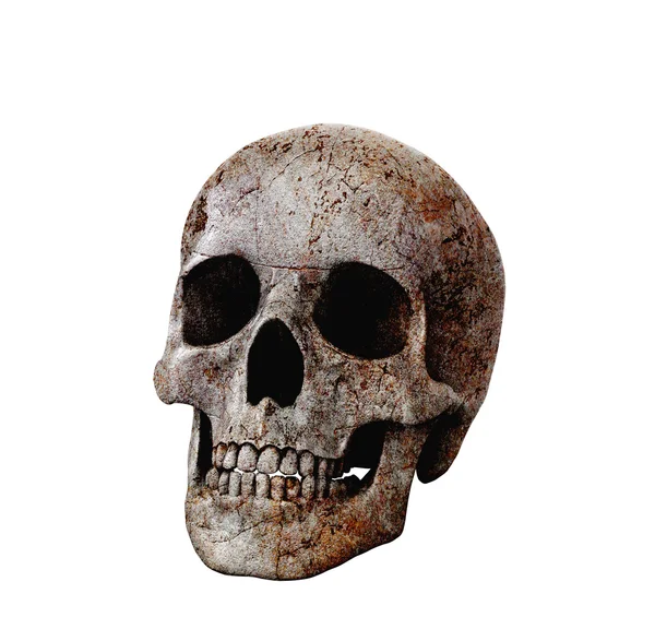 Människans kranium på isolerade vit bakgrund. 3D illustration — Stockfoto