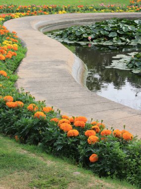 Lodi Gardens, Yeni Delhi, Hindistan 'daki nilüfer havuzunun yanındaki renkli bahar çiçekleri.