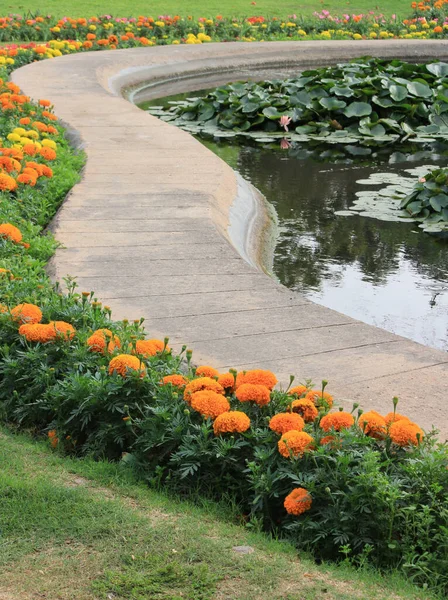 Lodi Gardens, Yeni Delhi, Hindistan 'daki nilüfer havuzunun yanındaki renkli bahar çiçekleri.