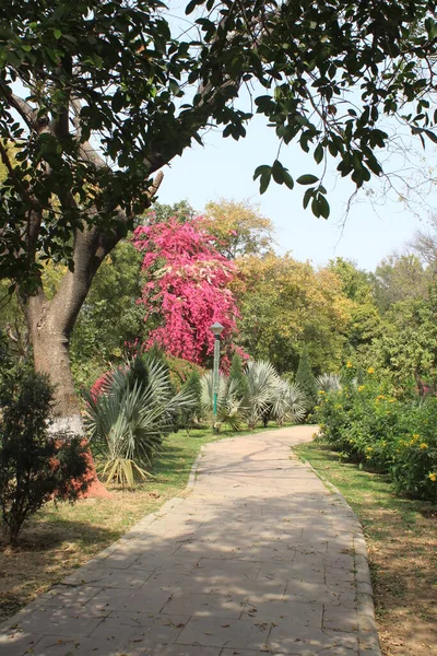Zahradní Cesta Bhagwan Mahavir Vanasthali Novém Dillí Indie — Stock fotografie