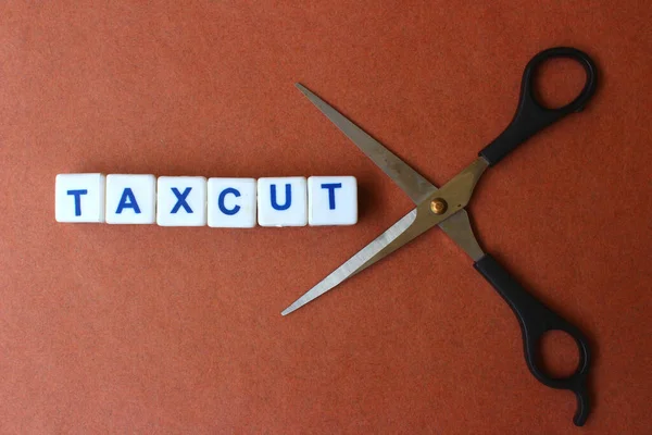 Vergi tasviri makas ve plastik bloklar yoluyla kesildi