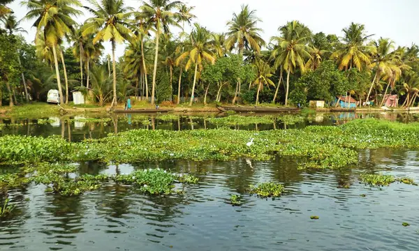 stock image Village near a backwater canal in Kumarakom, Kerala, India