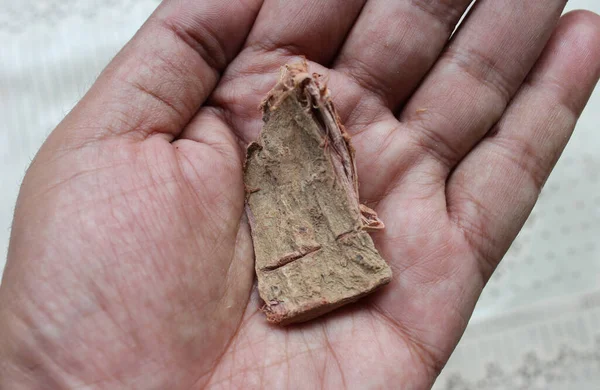 Arjun ki chaal yakın çekim