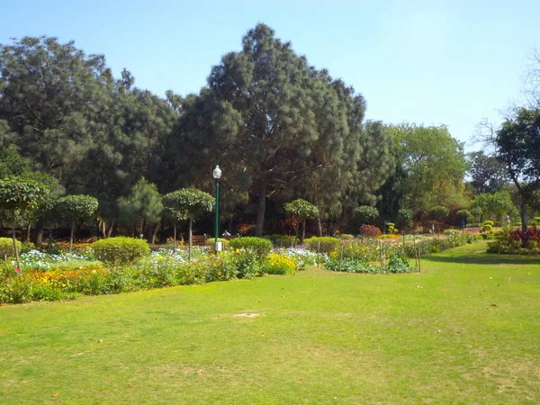 Bunga Musim Semi Taman Buddha Jayanti New Delhi — Stok Foto