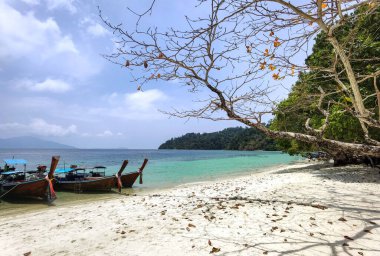 Lipe Adası, Koh Lipe, Satun Bölgesi Tayland, Tayland 'ın güney bölgesi.