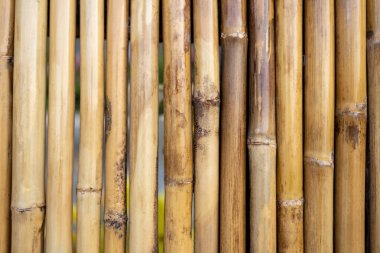 Bambu çit arka planı için.