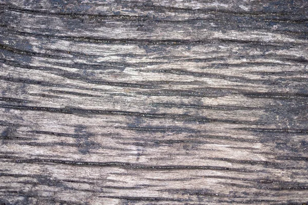 Старая Текстура Коры Дерева Естественный Деревянный Фон Доска — стоковое фото