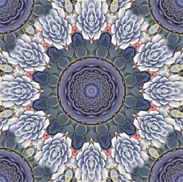 Beautiful kaleidoscope seamless pattern — Stock Photo, Image