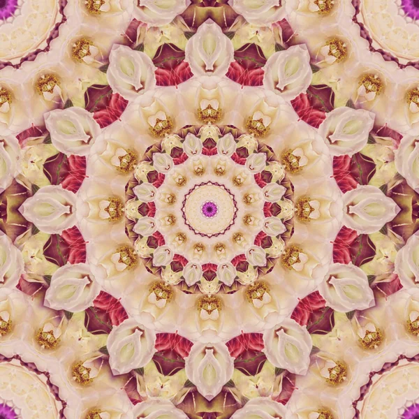 Vakkert kaleidoskop sømløst mønster – stockfoto