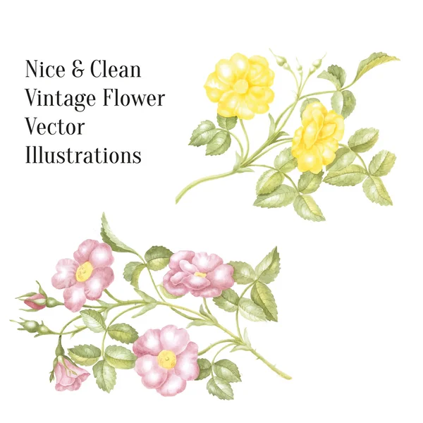 Vintage flowers isolated — ストックベクタ