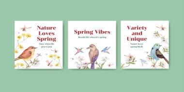 İlkbahar ve kuş konsept tasarımı ile suluboya resimleme için reklam şablonu