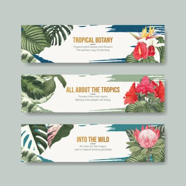 Tropikal botanik konsepti olan sancak şablonu, suluboya stil