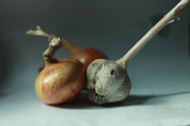 STALKER ormandaki bir gasmask içinde