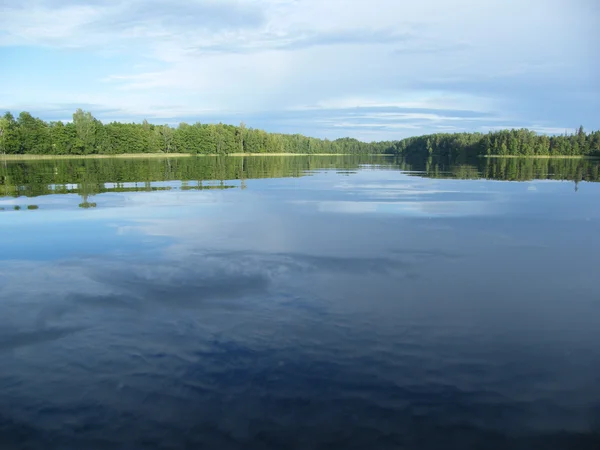 A forest lake Stock Photo