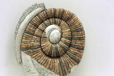 Yumuşakçalar heykel