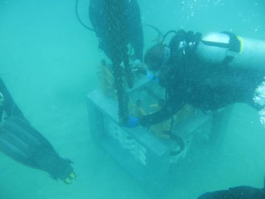 Terengganu, Malezya - 20 Haziran 2020: Redang Adası 'ndaki mercan resiflerinin taksitlendirilmesi