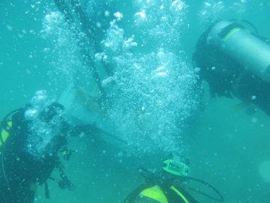 Terengganu, Malezya - 20 Haziran 2020: Redang Adası 'ndaki mercan resiflerinin taksitlendirilmesi